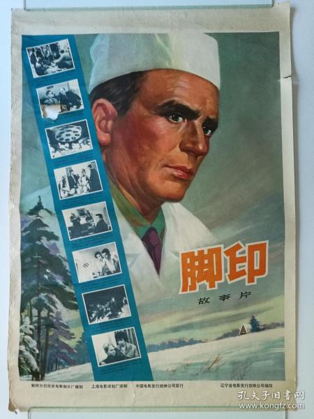 南爱达荷学院本科学位证